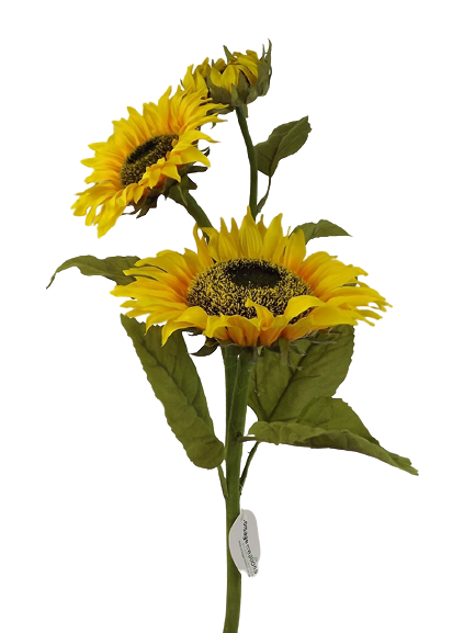 Sunflower Yellow/Green 88cm-0