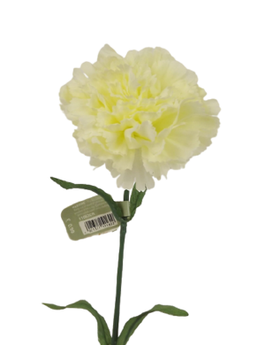 Carnation Stem Cream 71cm-0