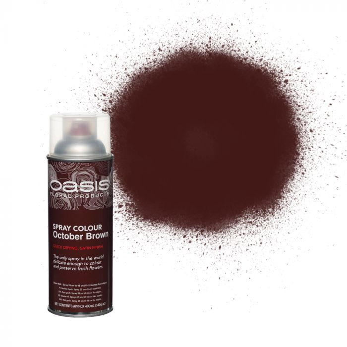 OASIS® Spray Colour October Brown-0