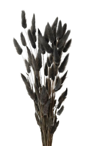 Lagarus/Bunny Tails Anthracite 50g