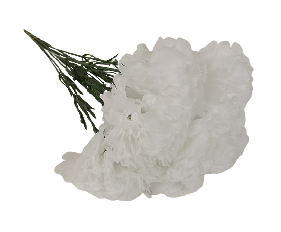 Bloom Carnations White x 12 Stems-0