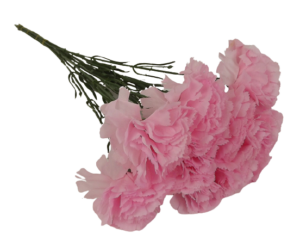 Bloom Carnations Pink x 12 Stems-0