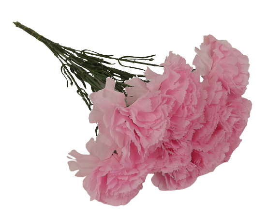 Bloom Carnations Pink x 12 Stems-0
