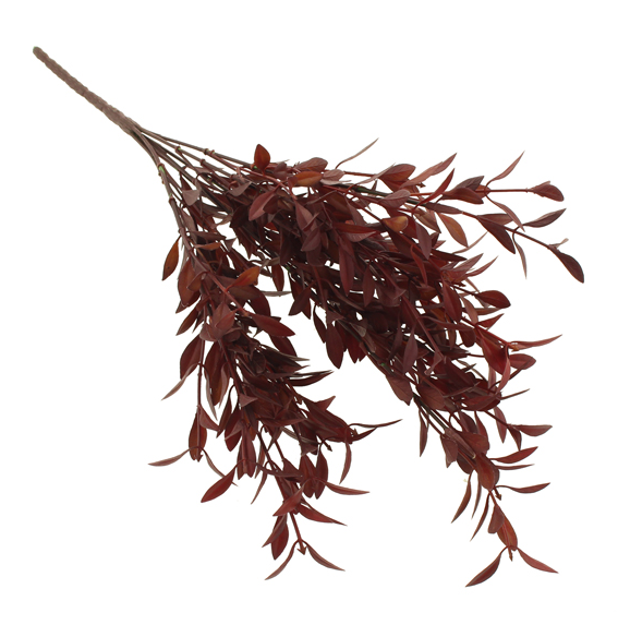 46cm Huckleberry Plant Burgundy-0