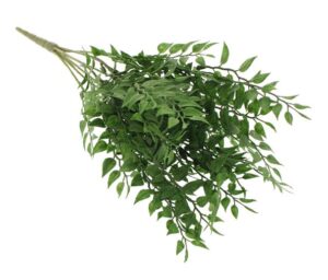 46cm Huckleberry Plant Green-0