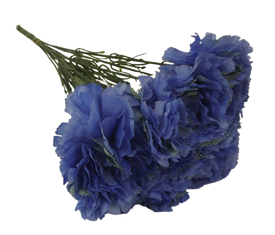 Bloom Carnations x 12 Stems Royal Blue-0
