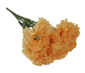 Bloom Carnations x 12 Stems Peach-0