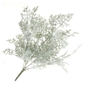 Senecio Cineraria Bush - Green/Grey (45cm long)-0