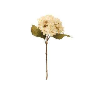 46cm Dried Look Hydrangea Single Cream-0