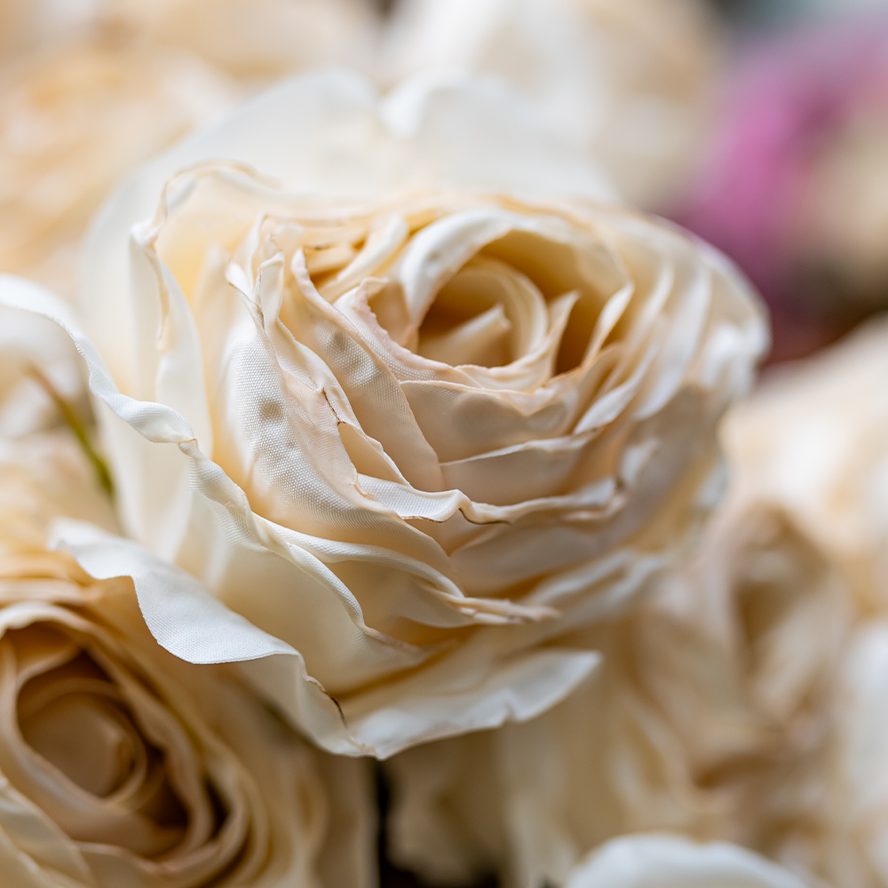 68cm Dried Look Rose Bud Single Cream-24906