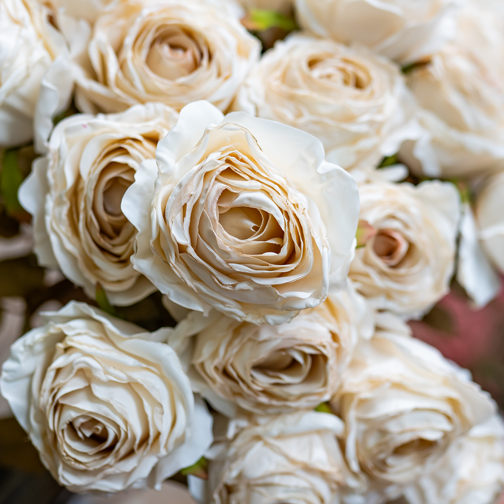 68cm Dried Look Rose Bud Single Cream-24907