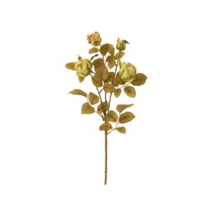 64cm Dried Look Cabbage Rose Spray Green-0