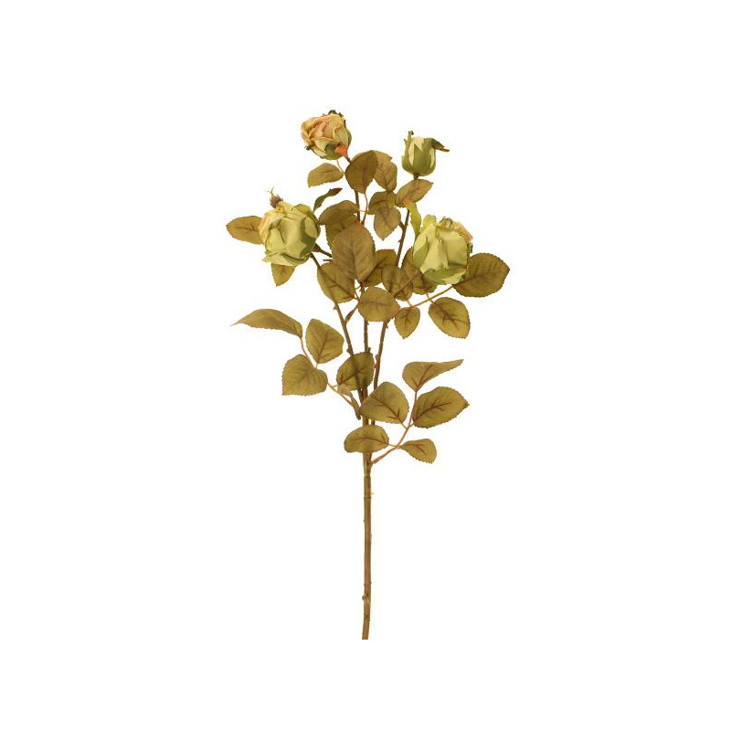 64cm Dried Look Cabbage Rose Spray Green-0