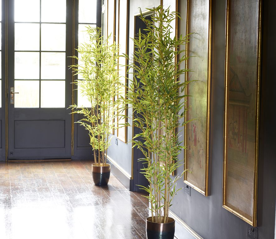 Potted Bamboo Tree 180cm-26322