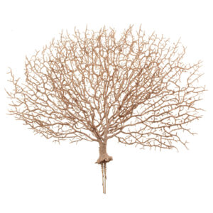 50cm Glittered Coral Pick Pink-0