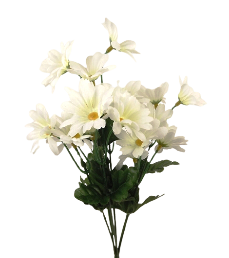 Daisy Bush 35cm-0