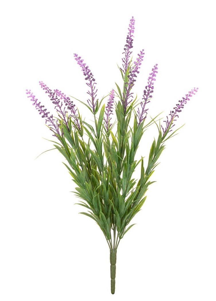 Lavender Bush 57cm UV Protected-0