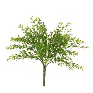 Boxwood Bush 35cm UV Protected-0