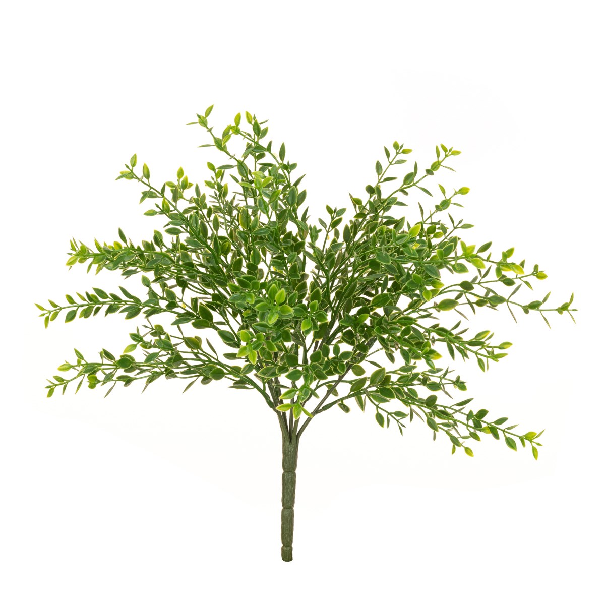 Boxwood Bush 35cm UV Protected-0