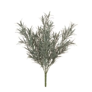 Podocarpus Bush 44cm UV Protected-0