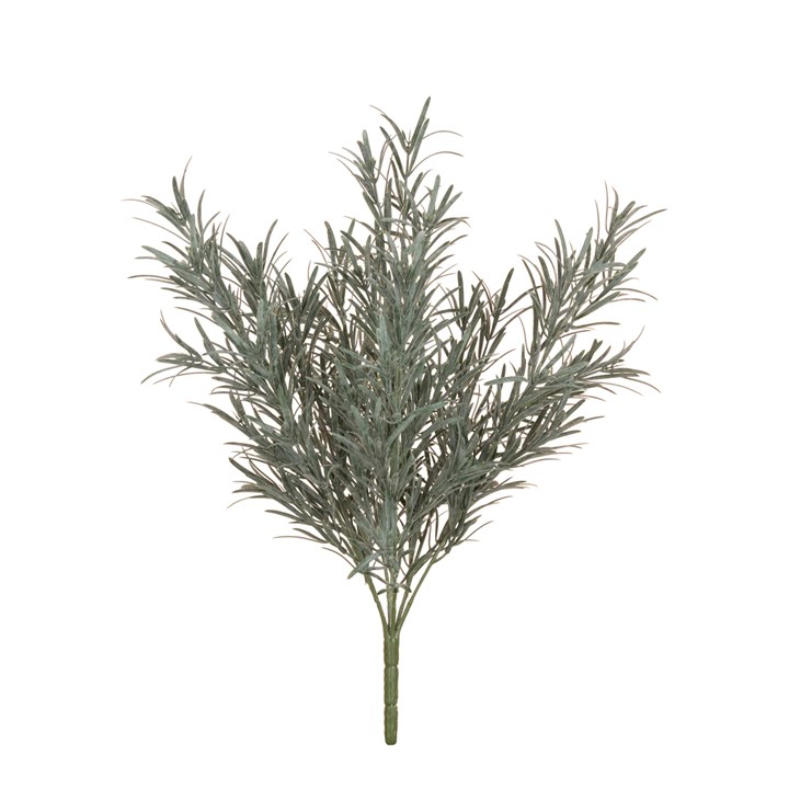 Podocarpus Bush 44cm UV Protected-0