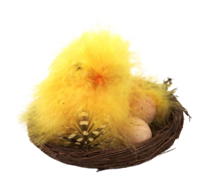 Fluffy Chick Nest 11cm-0