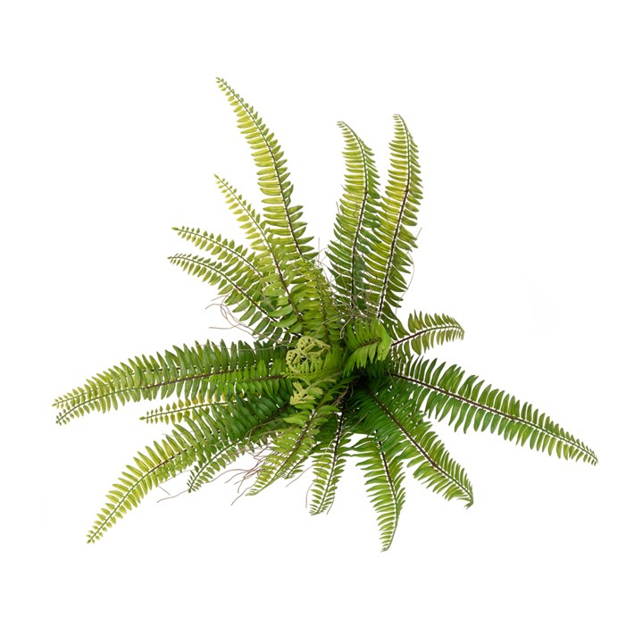 UV Fern Bush 51cm-0