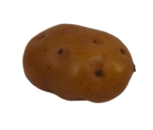 Potato 10cm-0