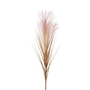 Reed Spray 77cm Brown-0