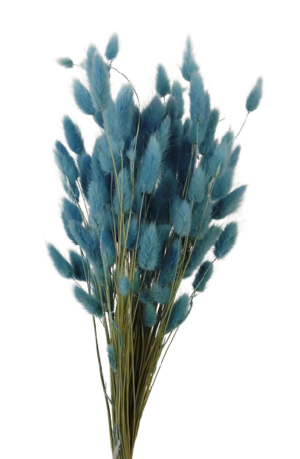Lagarus/Bunny Tails Aquamarine 50g-0
