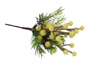22cm Cream Berry Pick-0