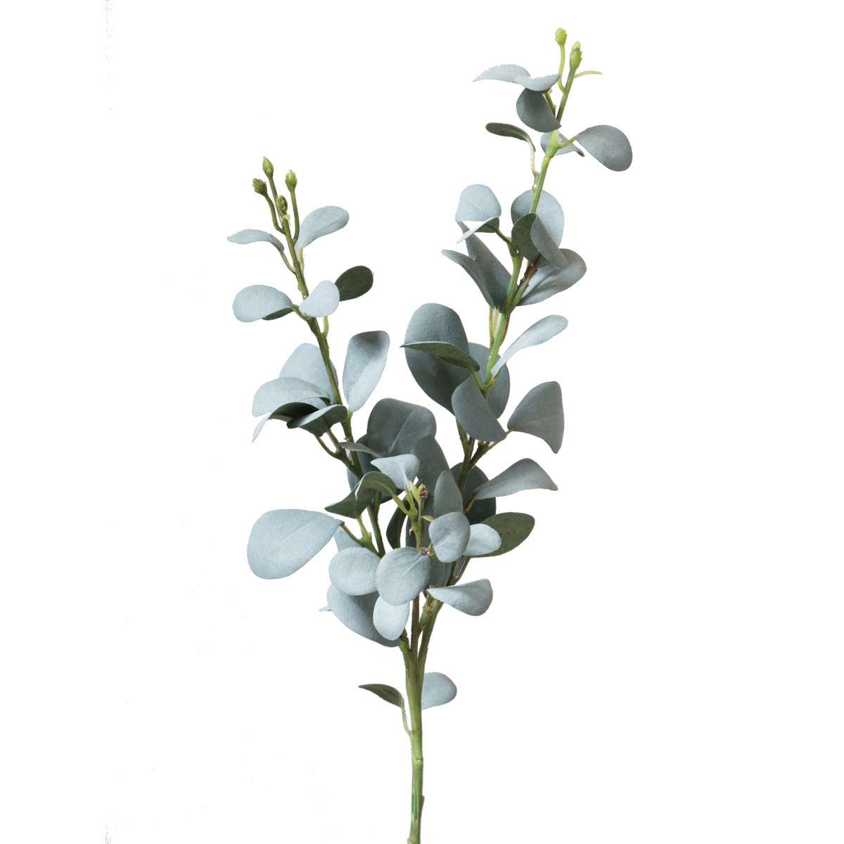 ECO Eucalyptus Stem Green/Grey 57cm