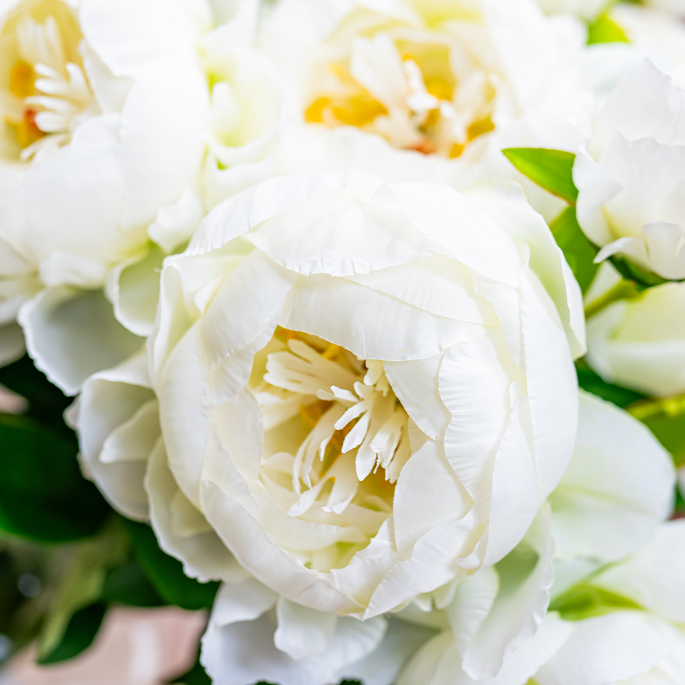 Peony Spray 62cm White-24921