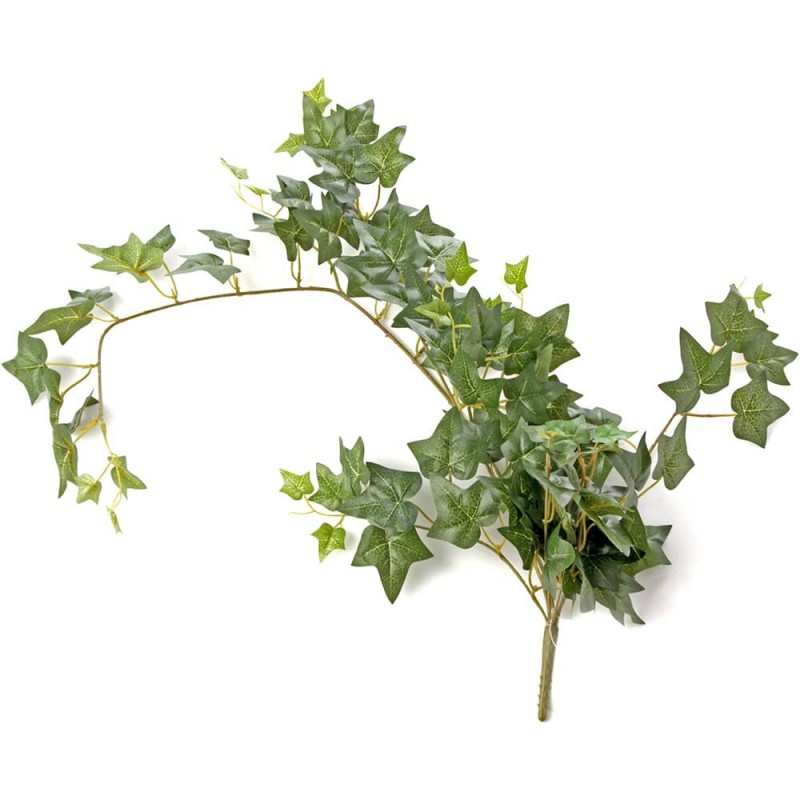 Ivy Bush Green 85cm Long-0