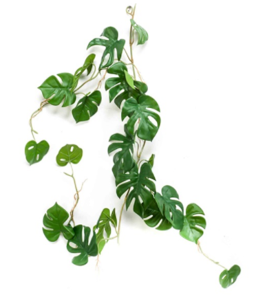 Monstera Vine 110cm-0