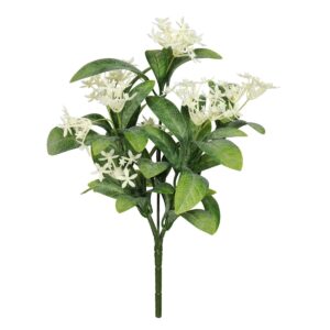Exterior Everlast 25cm Star Flower plant U.V-0