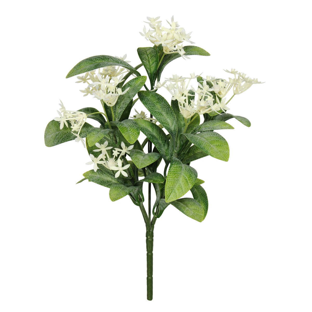 Exterior Everlast 25cm Star Flower plant U.V-0