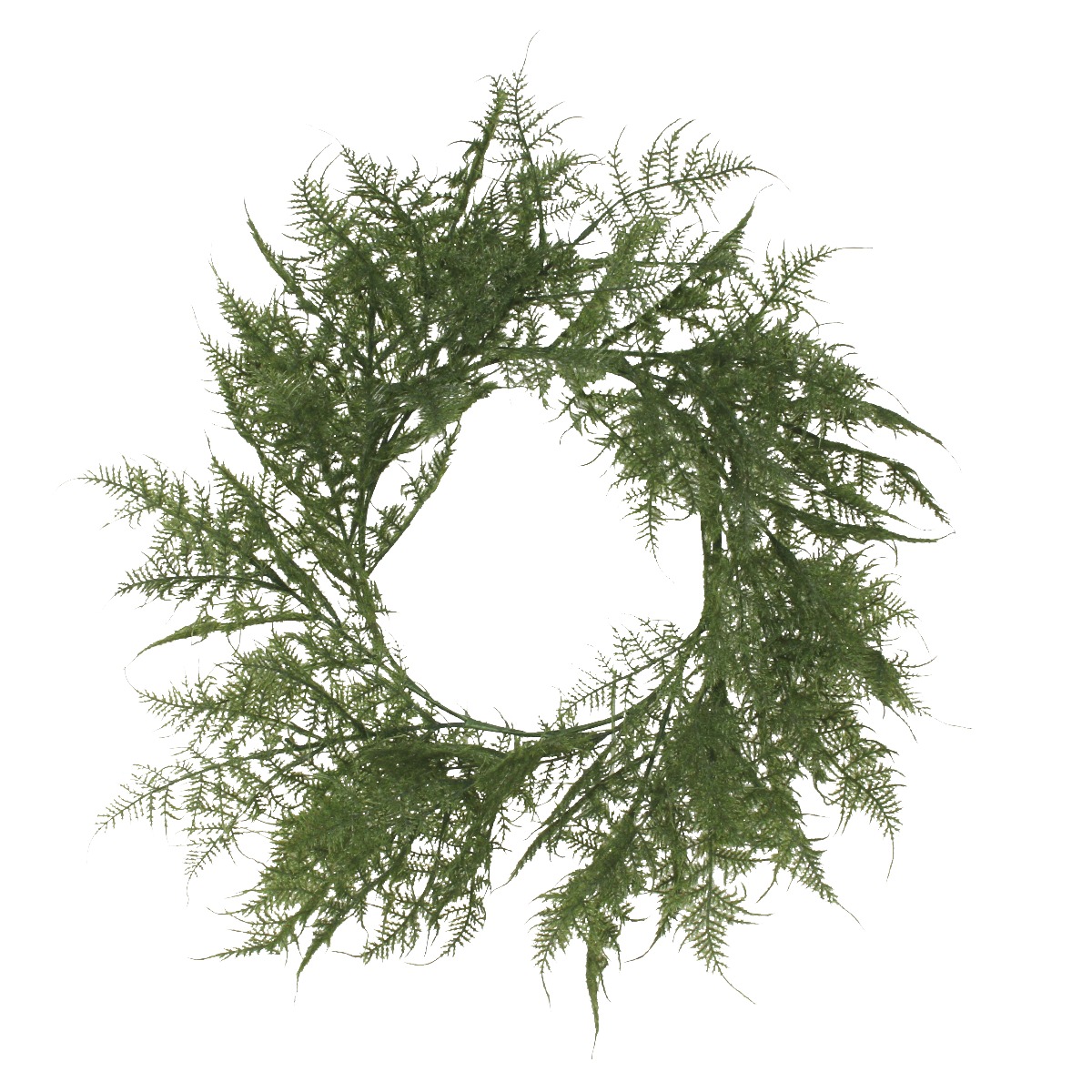 Asparagus Fern wreath 60cm-0