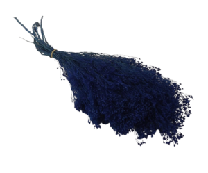 Preserved Broom Bloom - Blue-0