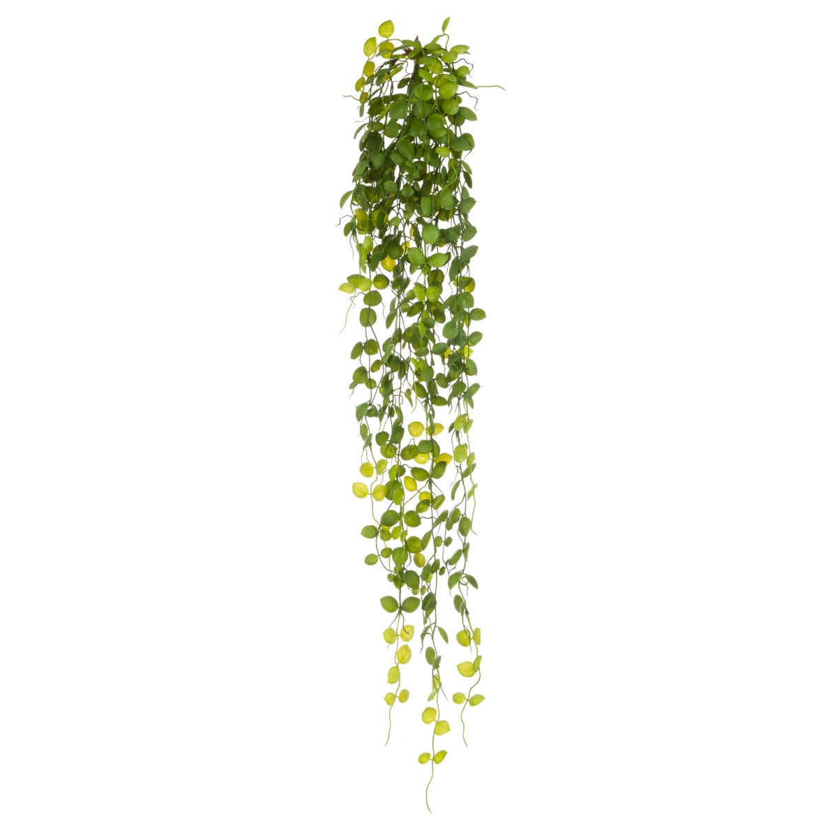 UV Trailing Drymaria - 100cm-0