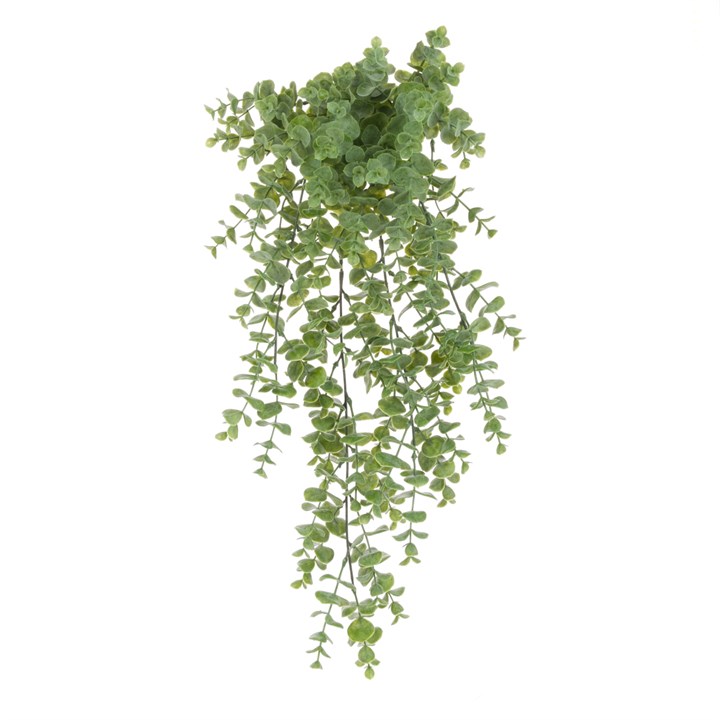 UV Trailing Eucalyptus 61cm-0