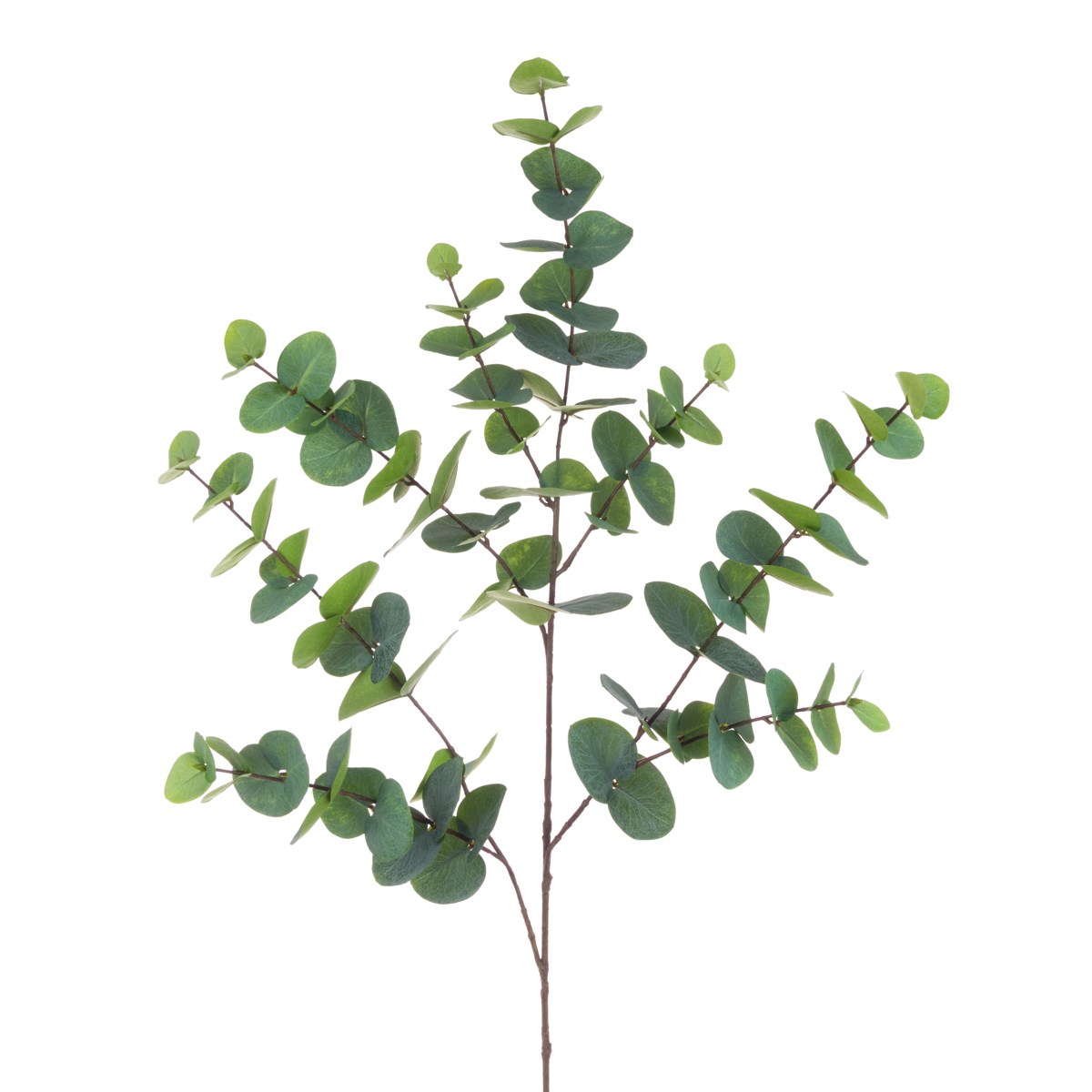 Eucalyptus Supreme 116cm-0