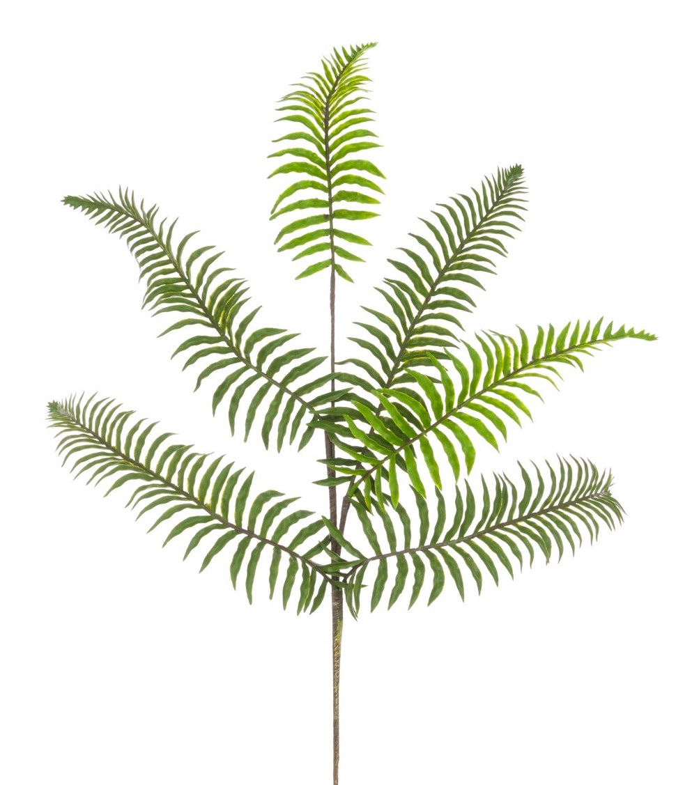 Fern Spray 90cm-0
