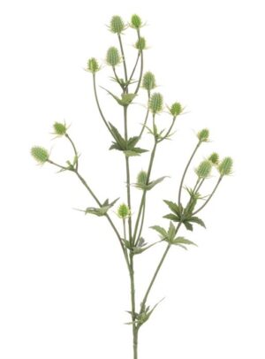 Thistle Spray Green 81cm-0