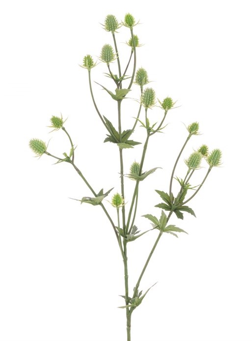 Thistle Spray Green 81cm-0