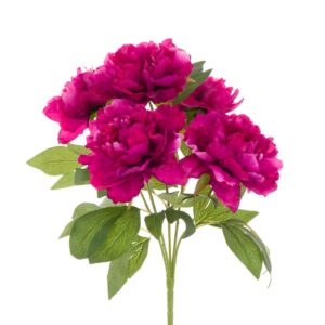 Peony Bush Beauty - 47cm-0