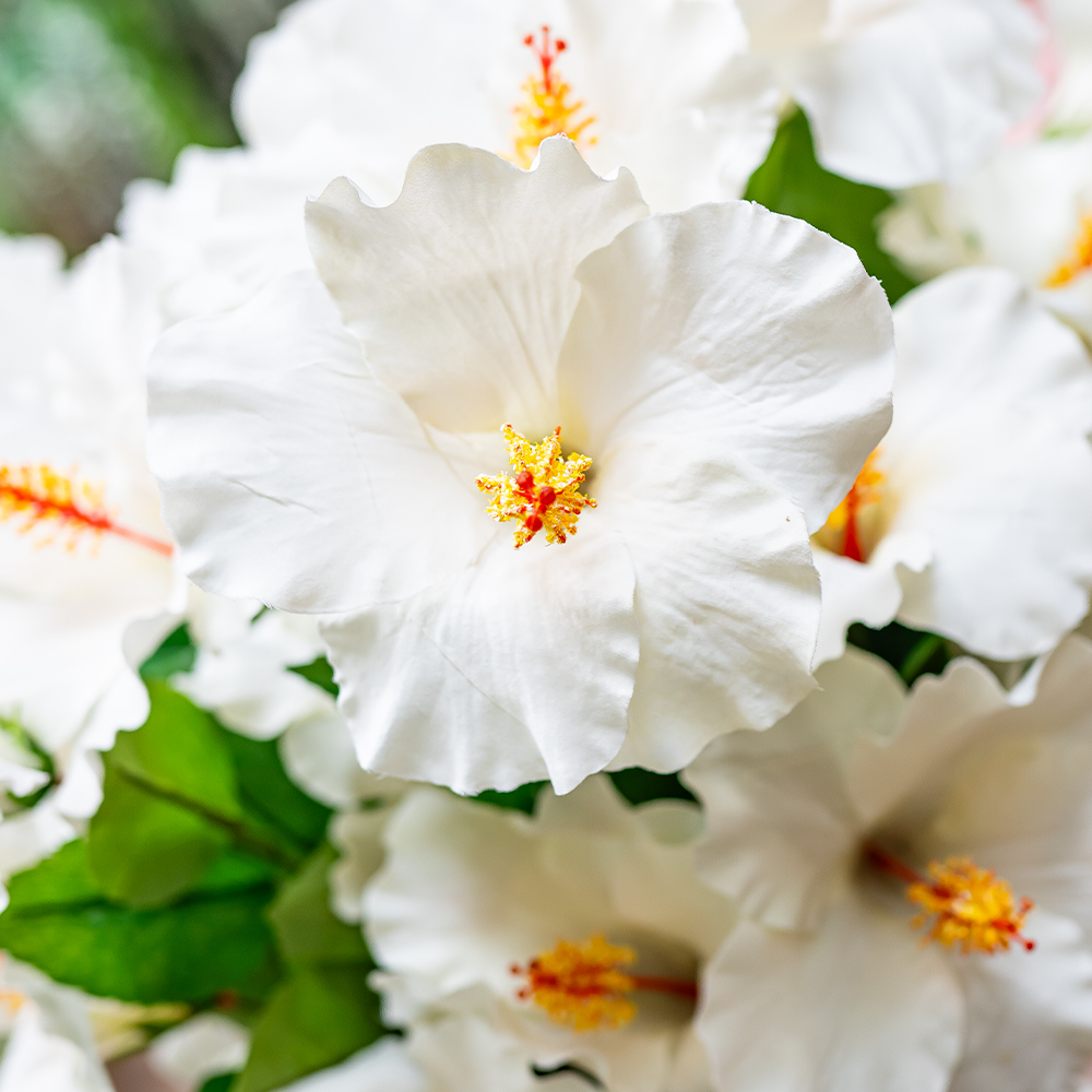 Hibiscus Spray 81cm Cream-24934