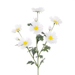 Meadow Cosmos Spray 85cm White-0