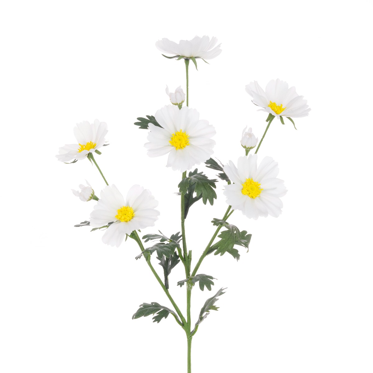Meadow Cosmos Spray 85cm White-0