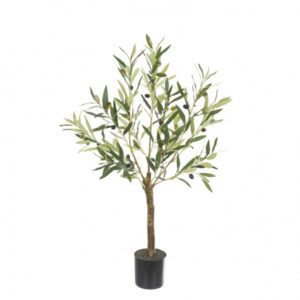 Olive Tree In Pot 90cm-0